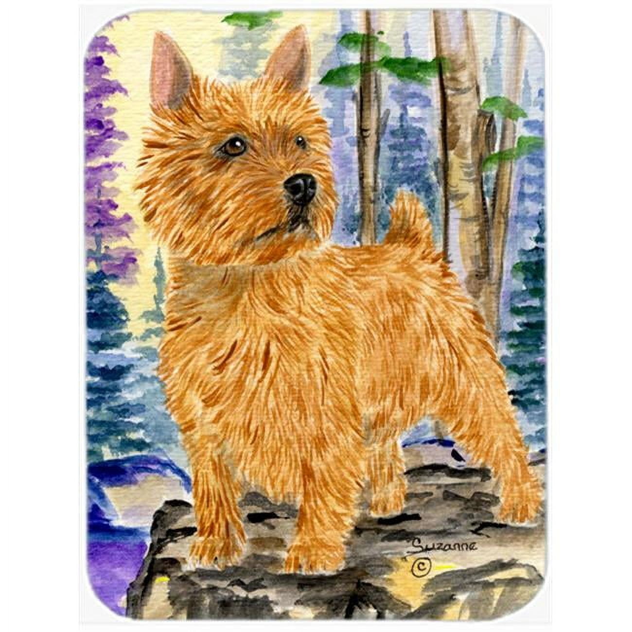 Carolines Treasures SS8011BLCB Norwich Terrier Glass Cutting Board Large, 12H x 16W, multicolor