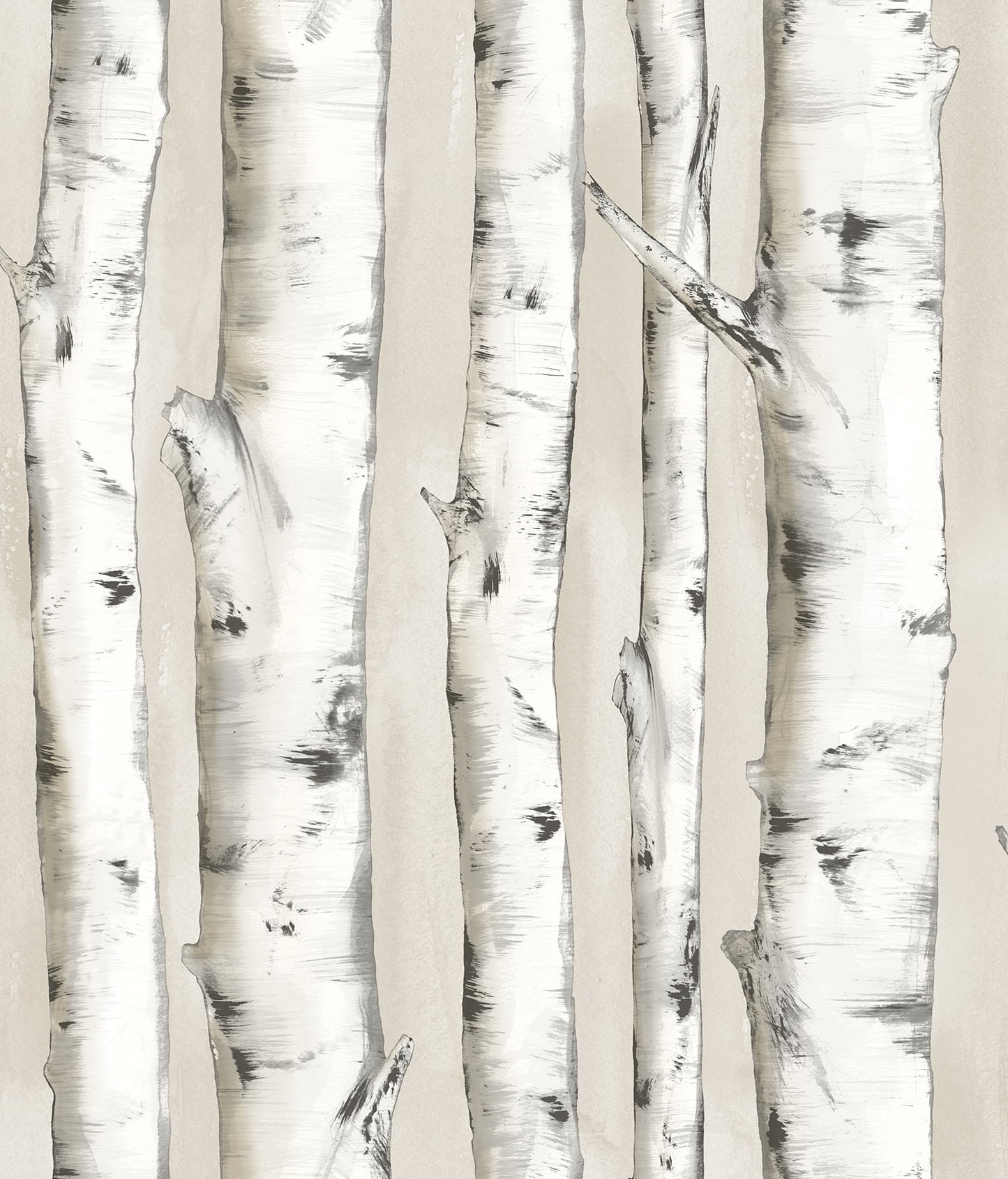 Pioneer Off-White Birch Tree Wallpaper