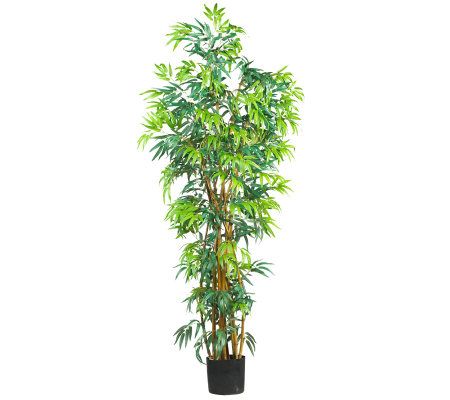 6' Curved Trunk Bamboo Tree by Nearly Natural