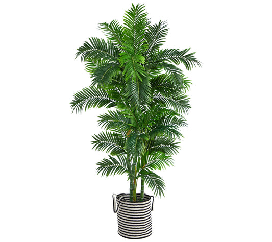 6' Curvy Parlor Palm Tree in Planter by Nearlyatural