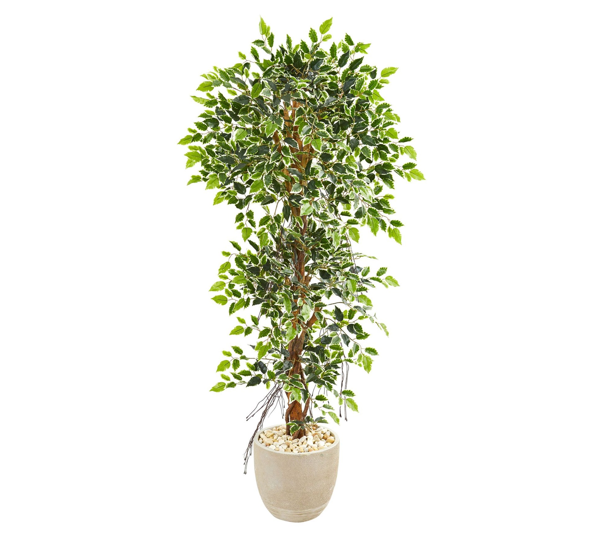 63in.  Elegant Ficus Artificial Tree in Sandstone Planter