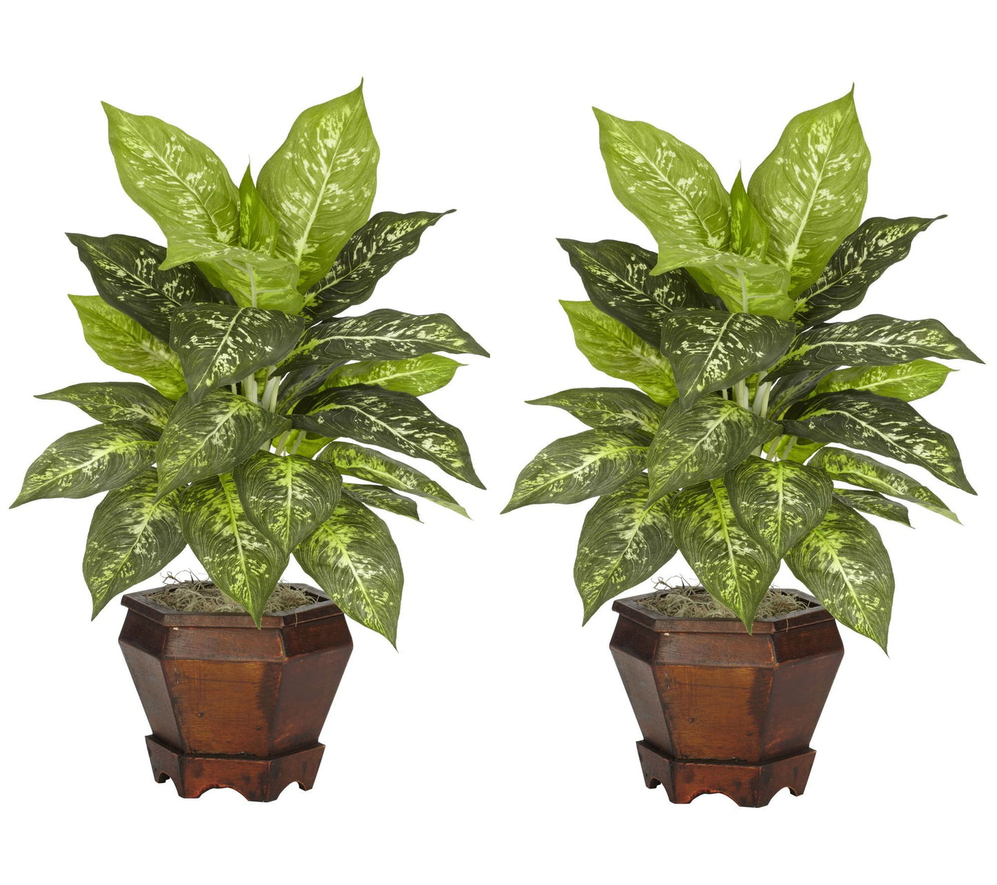 Dieffenbachia w/Wood Vase Silk Plant (Set of 2) Varieagated