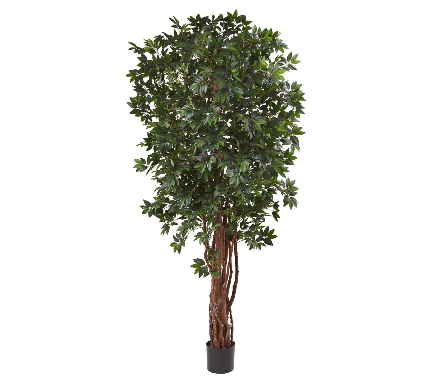 7.5' Lychee Silk Tree by Nearly Natural