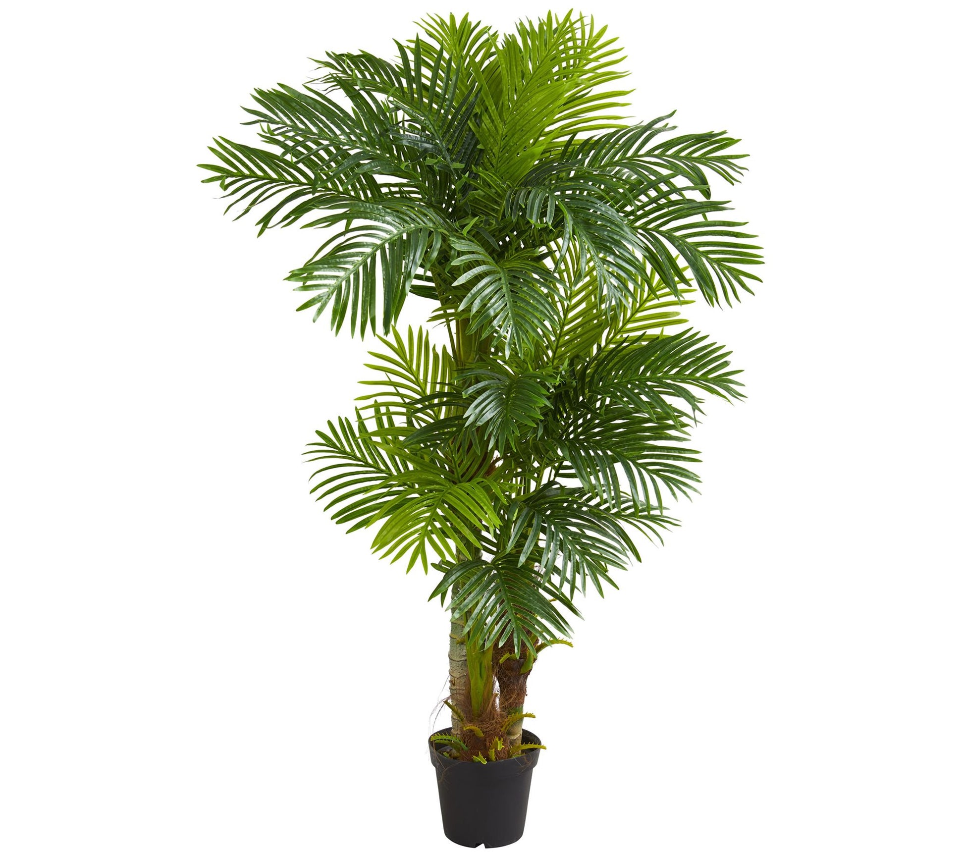 6' Hawaii Artificial Palm by Nearly Natural