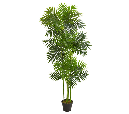 6' Phoenix Palm Artificial Tree by Nearly Natural
