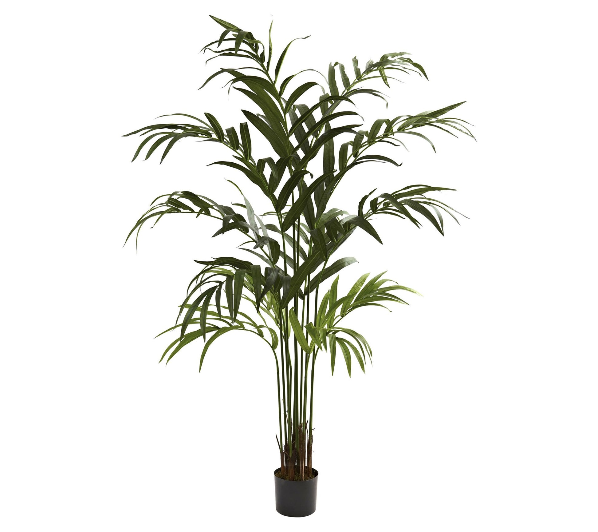 6' Kentia Artificial Tree by Nearly Natural