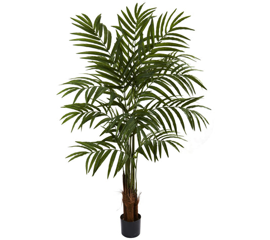 5' Palm Tree by Nearly Natural