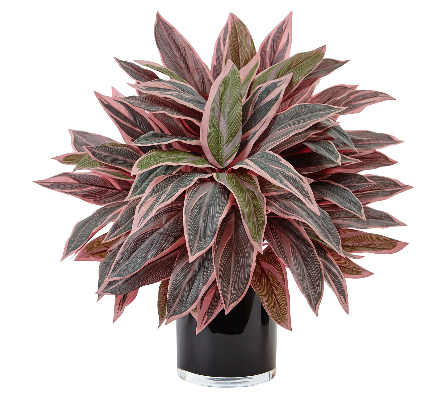 Caladium in Black Glossy Planter by Nearly Natural
