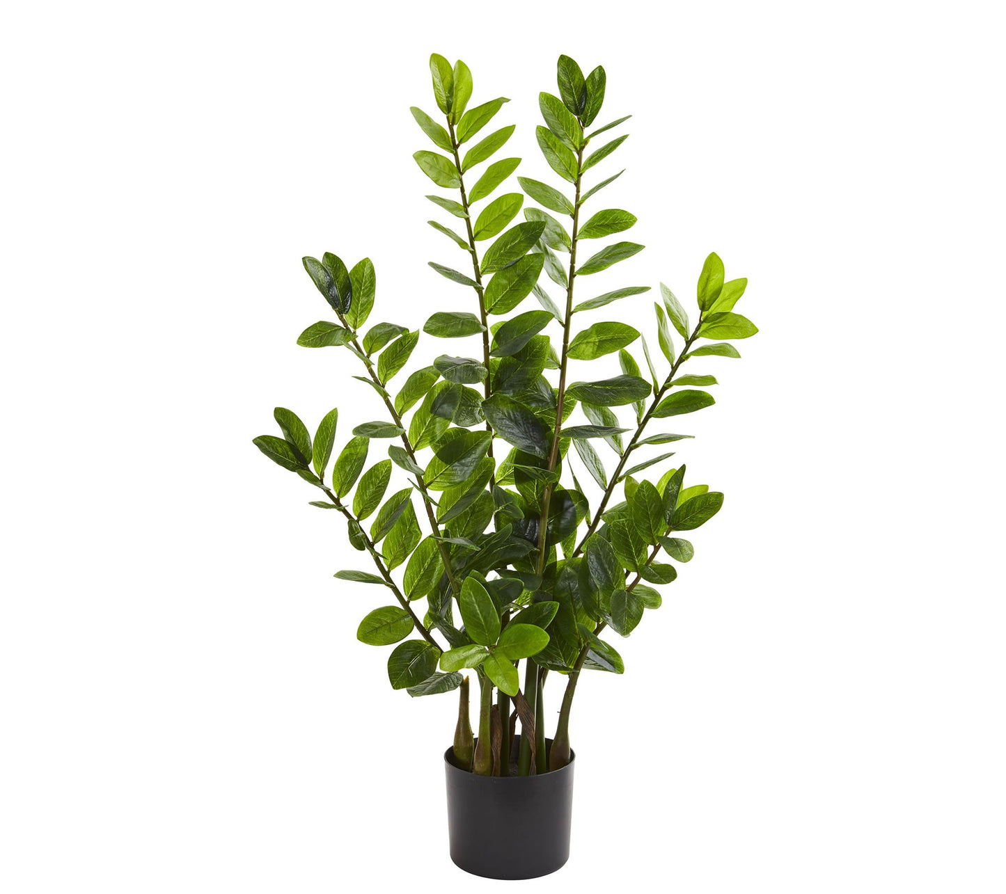3' Zamioculcas Artificial Plant by Nearly Natural