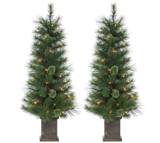 4' Potted Hard Mixed Needle Cashmere Pre-Lit Trees, Set of 2