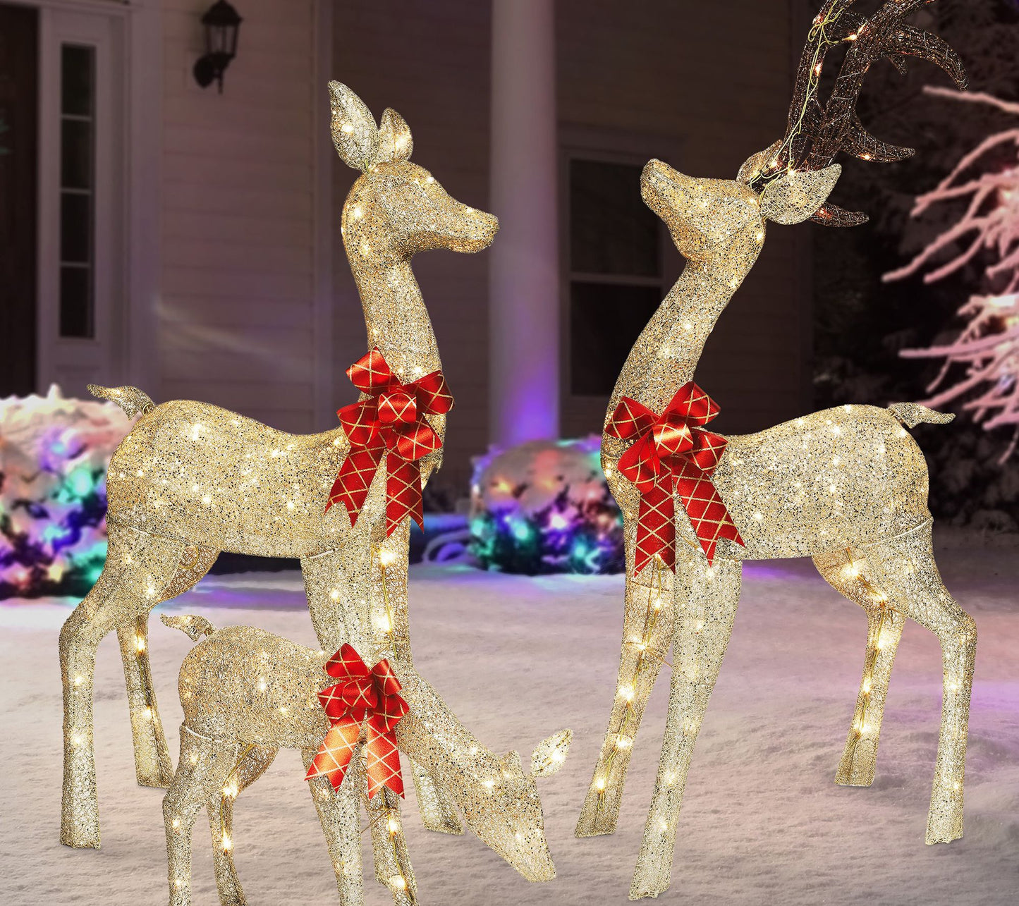 Set of 3 Deer Family with Warm White LED Lights