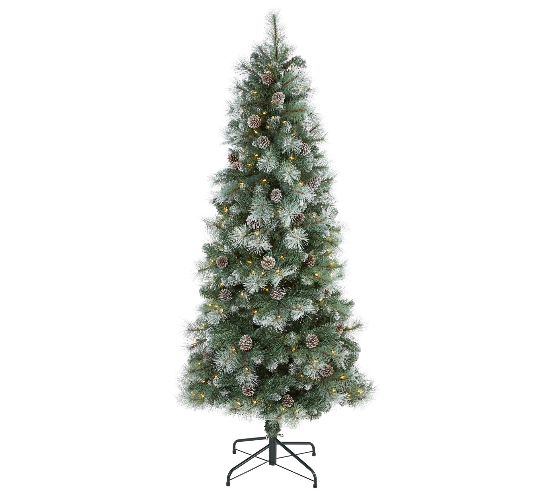 6' Lit Frosted Mountain Pine Christmas Tree byearly Natural