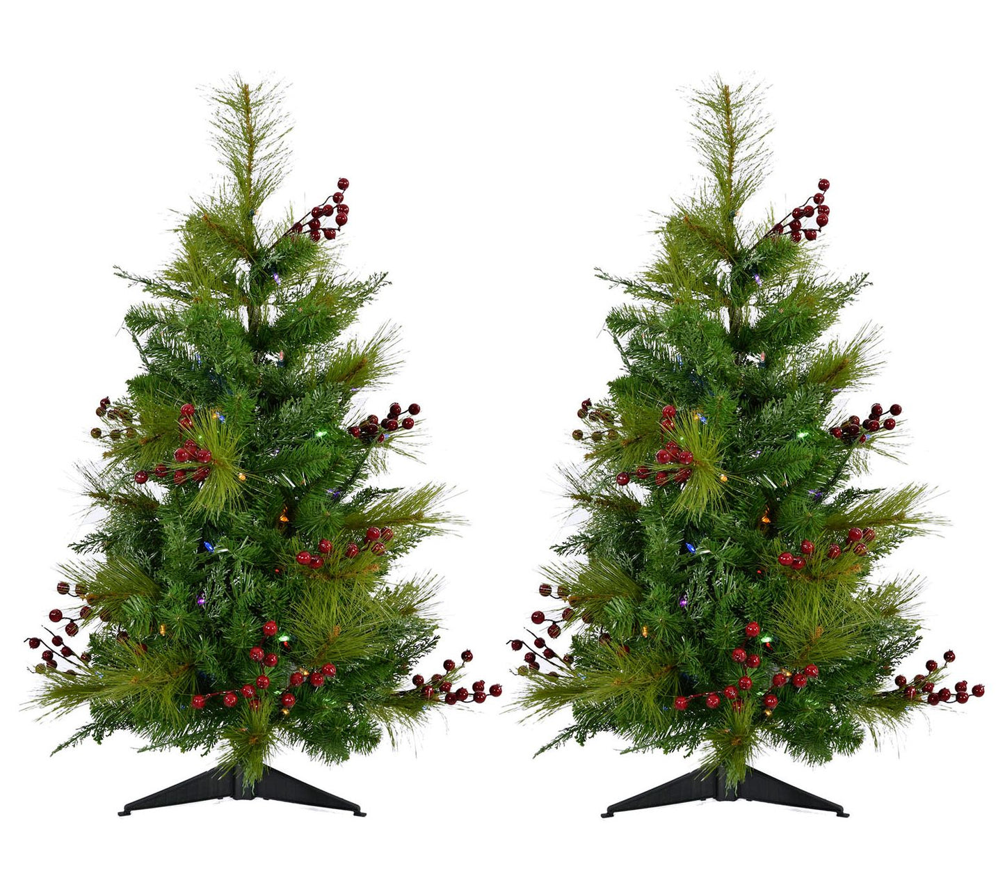 Fraser Hill Farm Set of Two 3-Foot Newberry Pine Trees