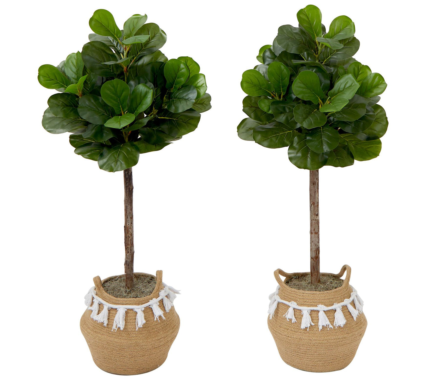 Nearly Natural S/(2) 4-ft Fiddle Leaf Fig TreeIY KIT