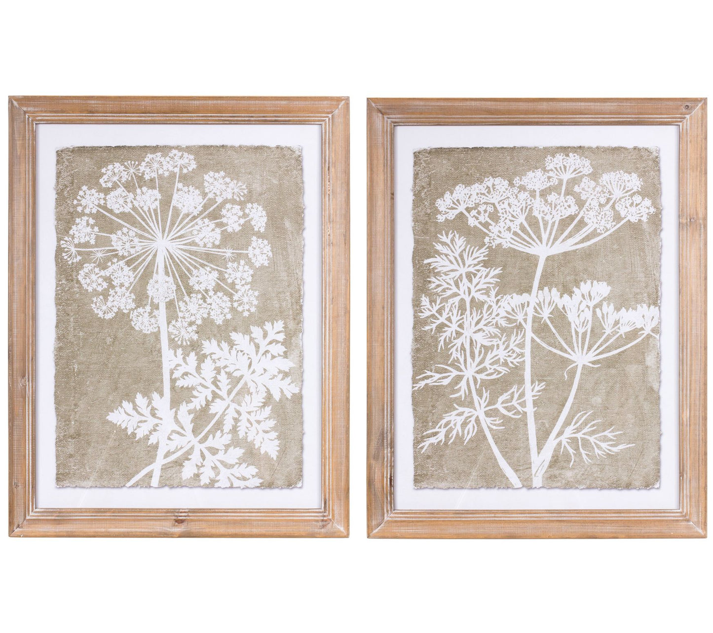 Melrose Queen Anne Fern Wall Art (Set of 2)