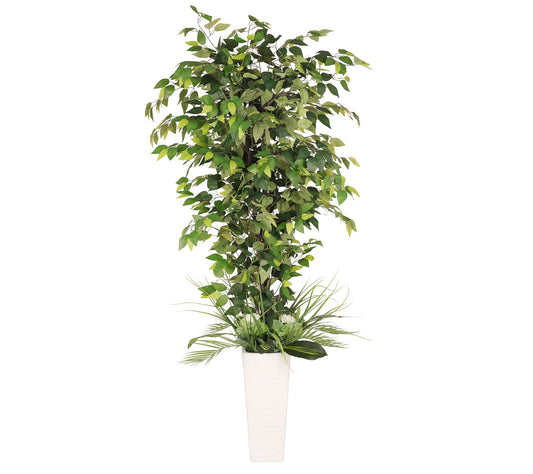 Puleo Internation 6 ft. Artificial Ficus Microcrpa Tree Pot