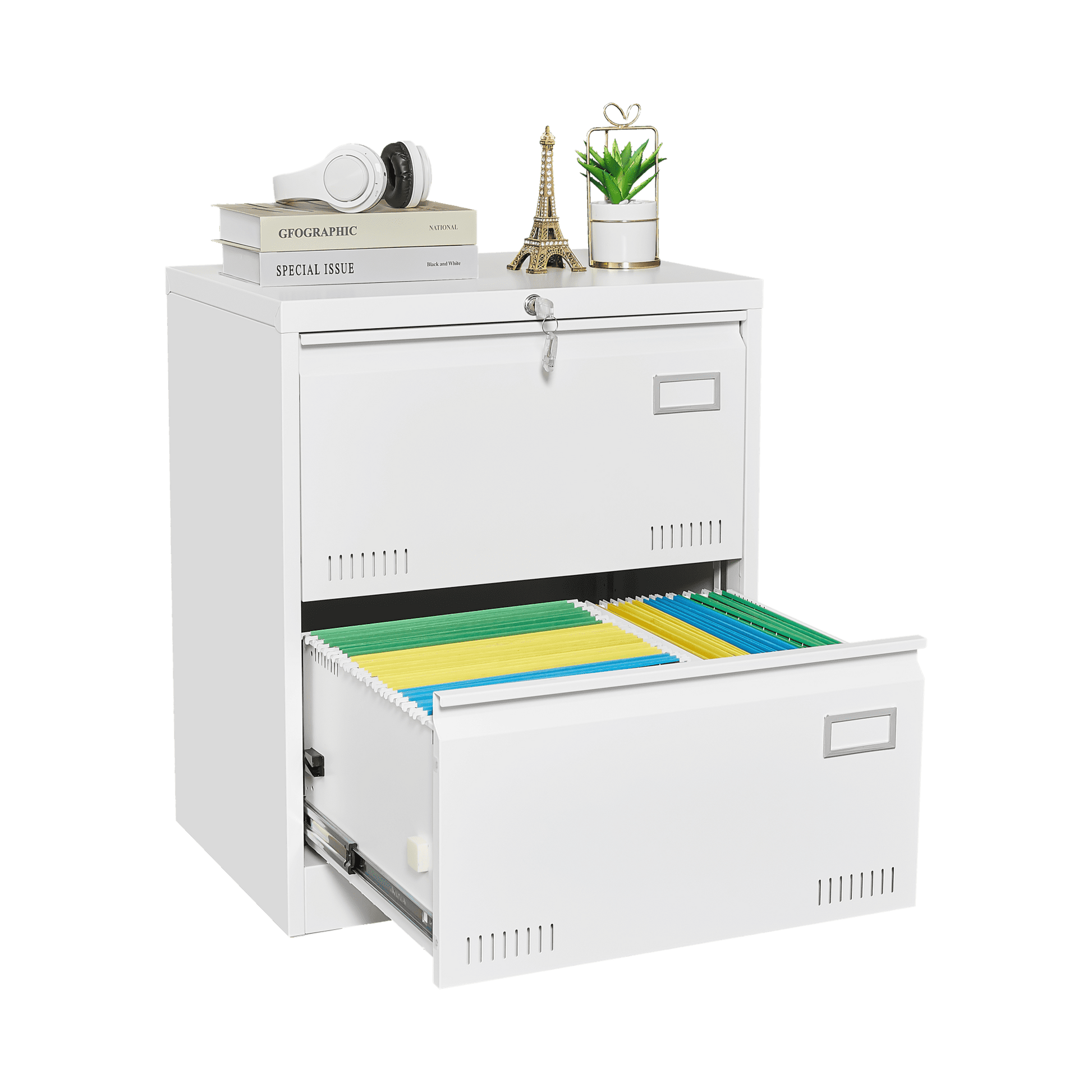 2 Drawer Metal Lateral File Cabinet with Lock,Office Vertical Files Cabinet for Home Office