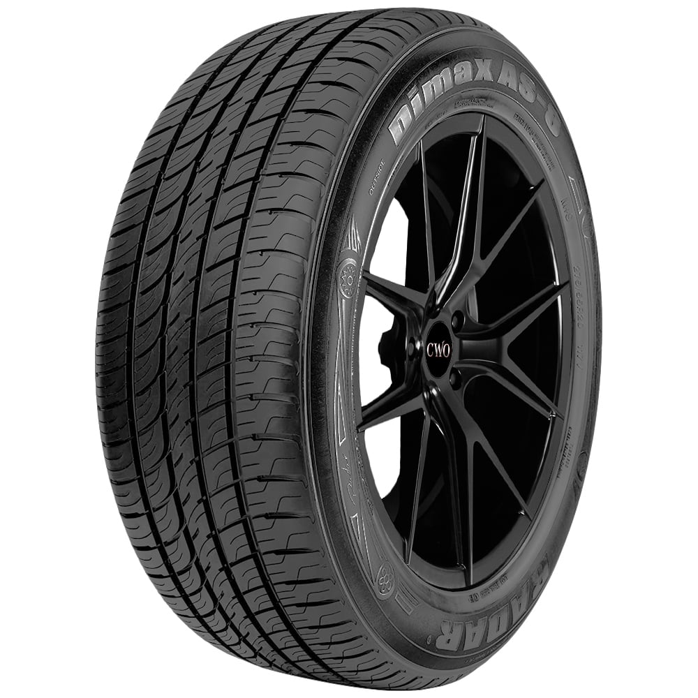 255/45ZR20 Radar Dimax AS-8 105W XL Black Wall Tire