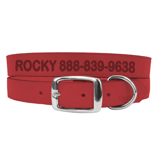 Coastal Pet Products Personalized Leather Dog Collar 18"L x 0.75"W