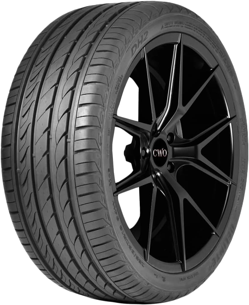 225/50R17 98W DELINTE DH2 XL BW PCR A/S