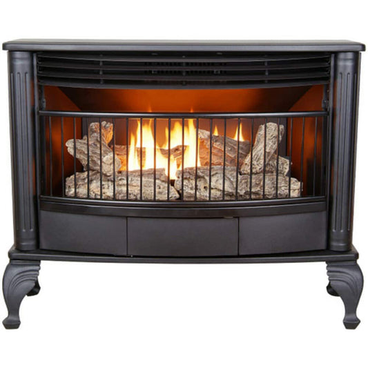 ProCom 1500-sq ft Dual-Burner Vent-free Freestanding Natural and Liquid Propane Gas Stove QNSD250T