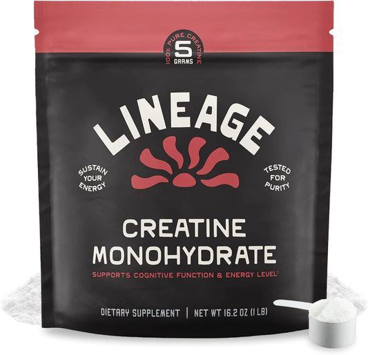 Micronized Creatine Monohydrate with Sea Salt - Micronized Creatine Powder for Training & Performance – No Artificial Ingredients – 90 Servings