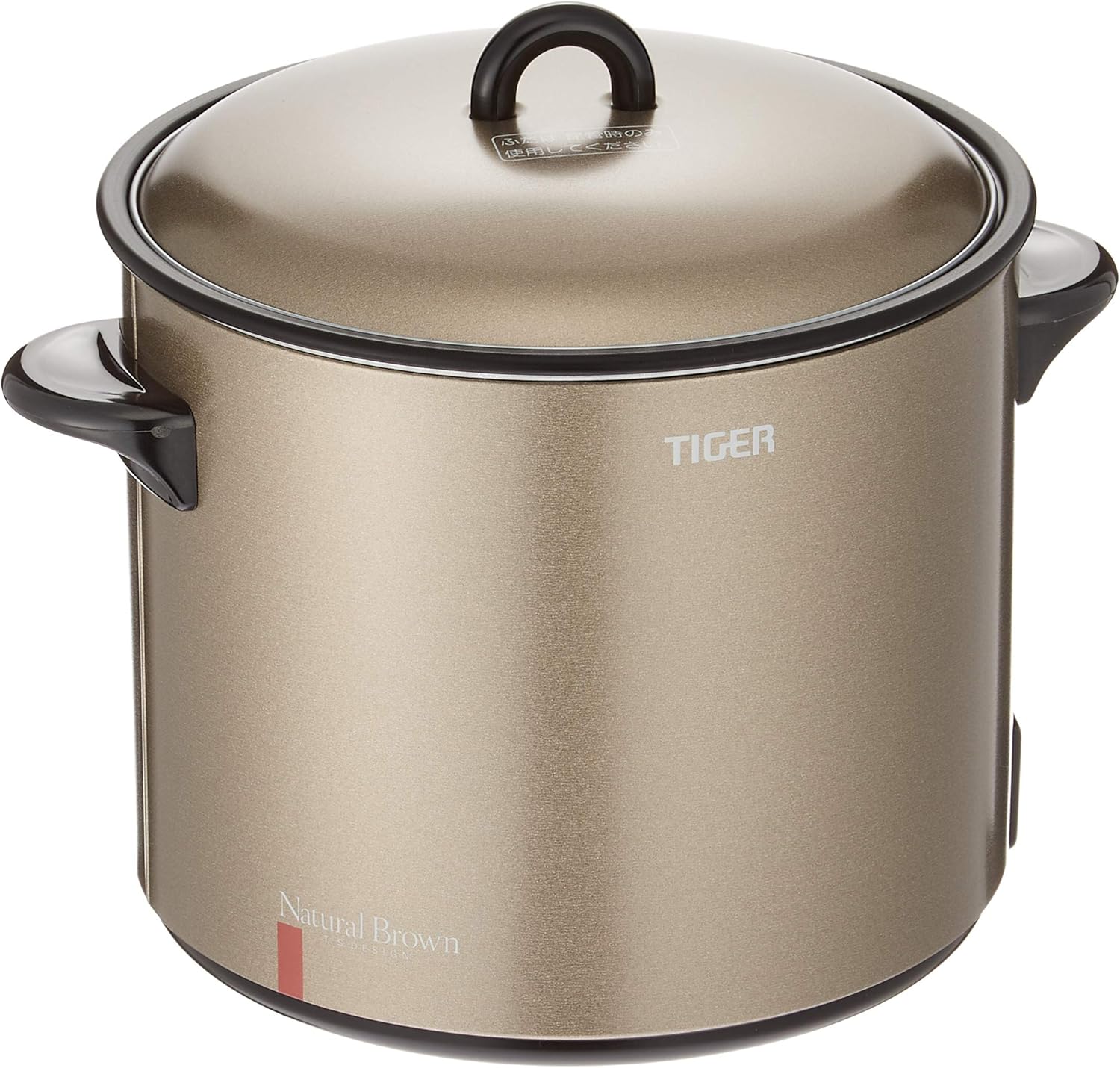 Tiger Hayaage Electric Fryer CFE-A100-T