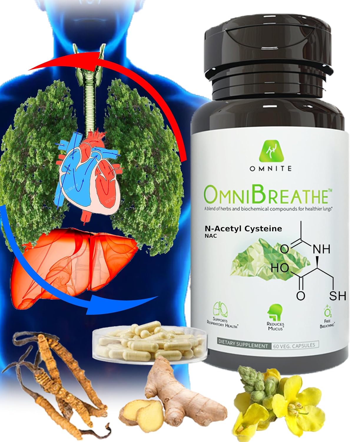 Asthma Relief Bronchial Health - Lung Detox for Smokers with Mullein Leaf Extract, Nettle Root - 30 Days Respiratory Health Supplement-Naturally Reduce Cough & Clear Mucus\/Phlegm for Smokers,60 Caps