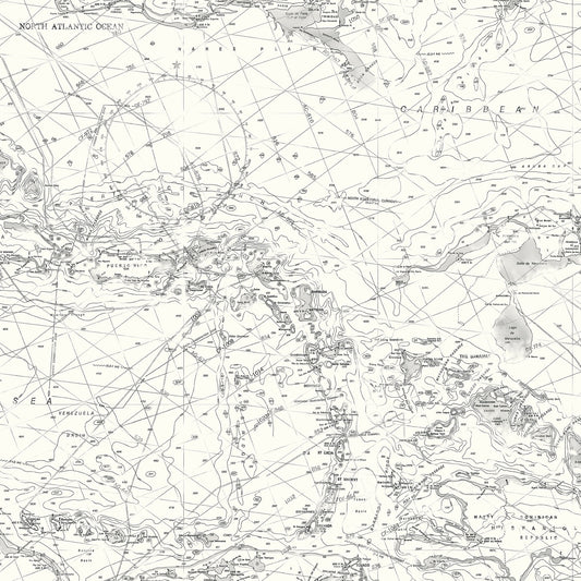 Chesapeake Charts Black Map Wallpaper