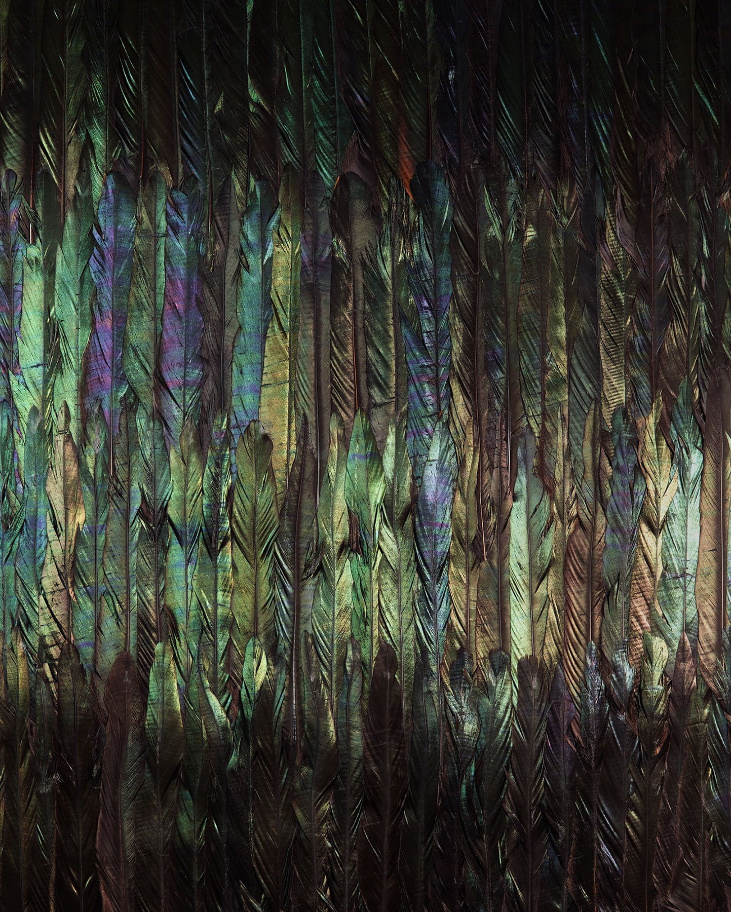 Dark Wings Wall Mural