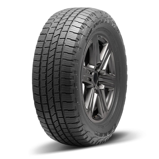 Falken Wildpeak H/T02 All Season 235/65R16C 121/119R E Light Truck Tire