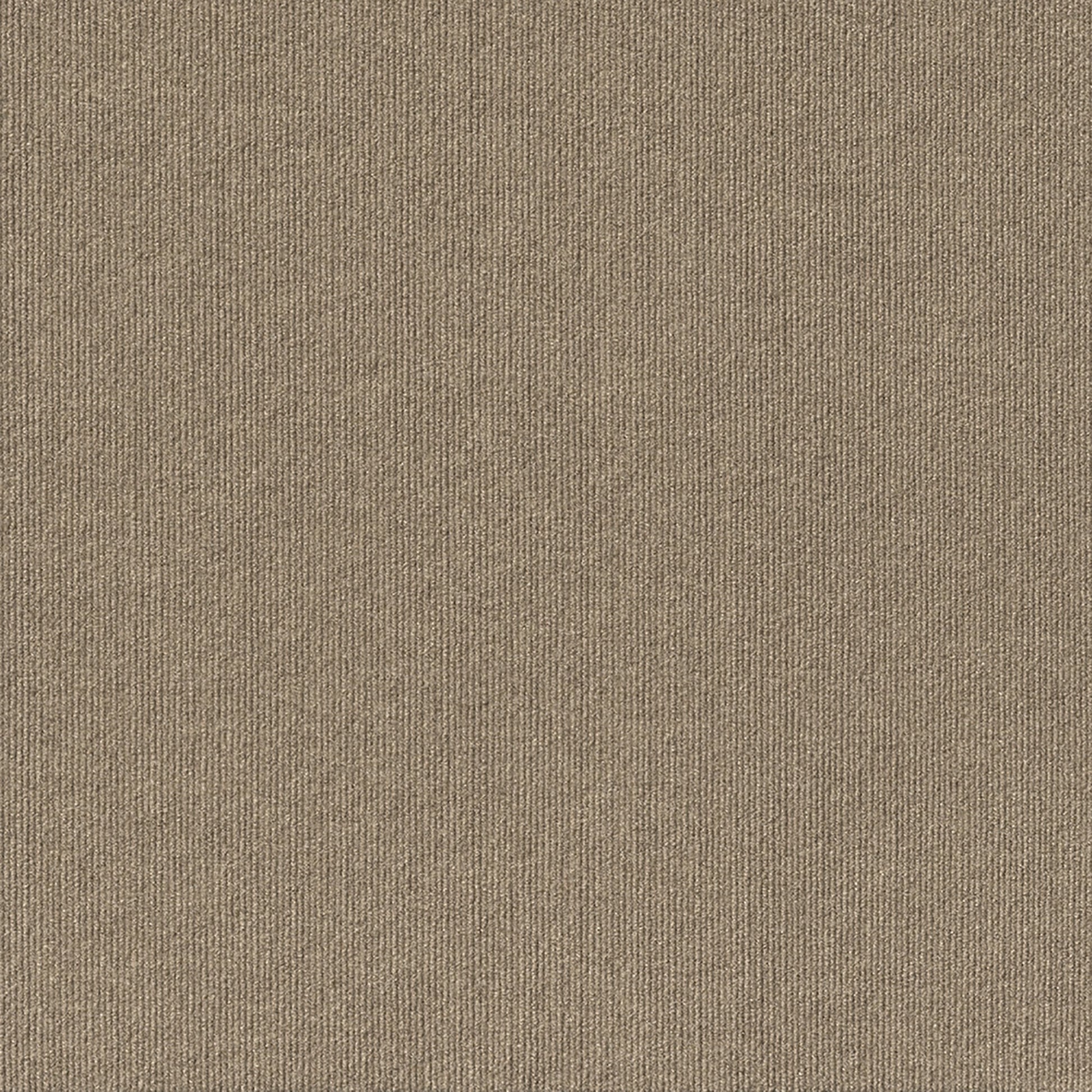 Foss Floors Taupe 24'âˆšÂ¢Â¬Ã„Â¬Ã´ x 24âˆšÂ¢Â¬Ã„Â¬Ã´' Peel and Stick Indoor/Outdoor Starboard Carpet Tile 60 sq ft 15 Piece