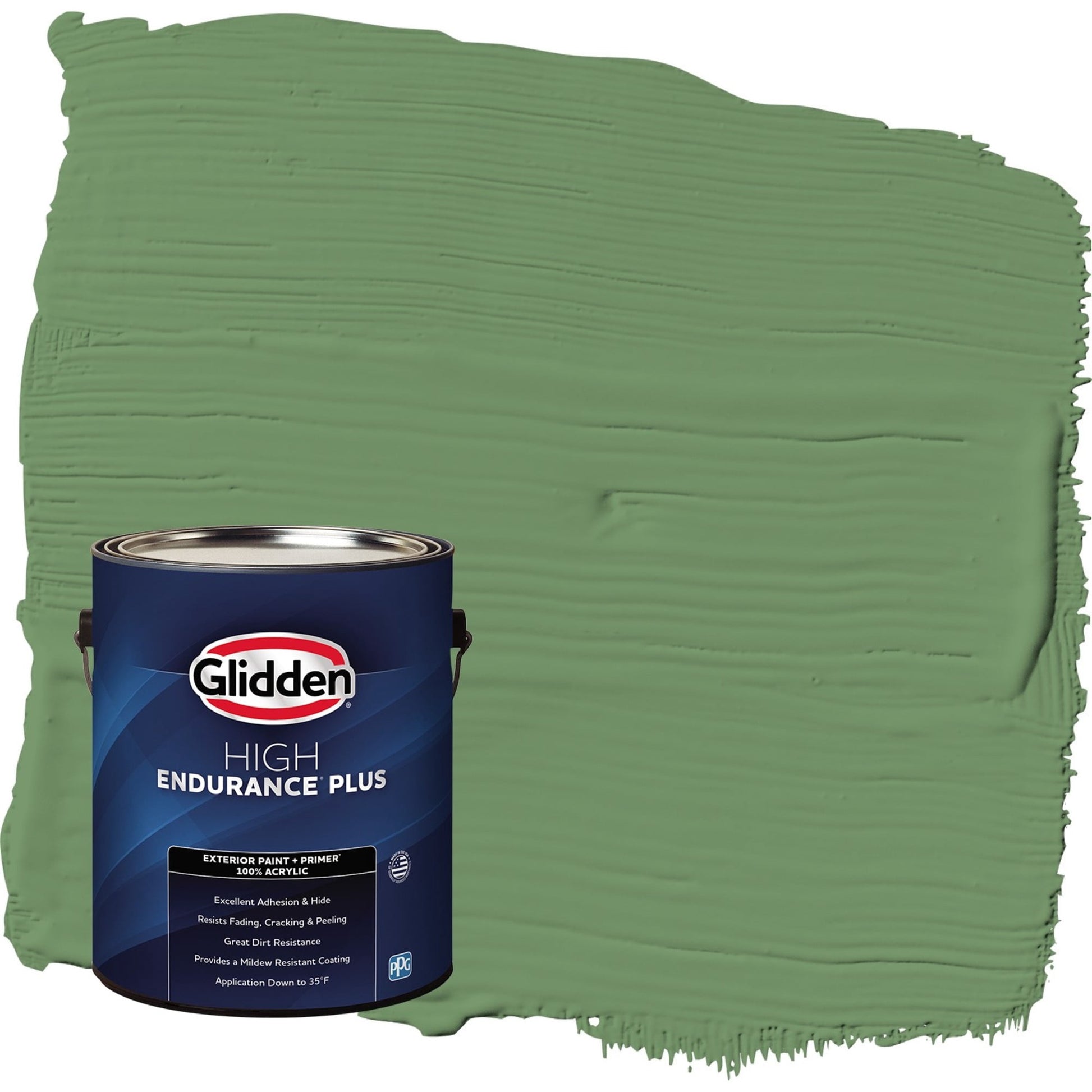 Glidden HEP Moss Ring / Green Semi-Gloss Exterior Paint with Primer, 1 Gallon