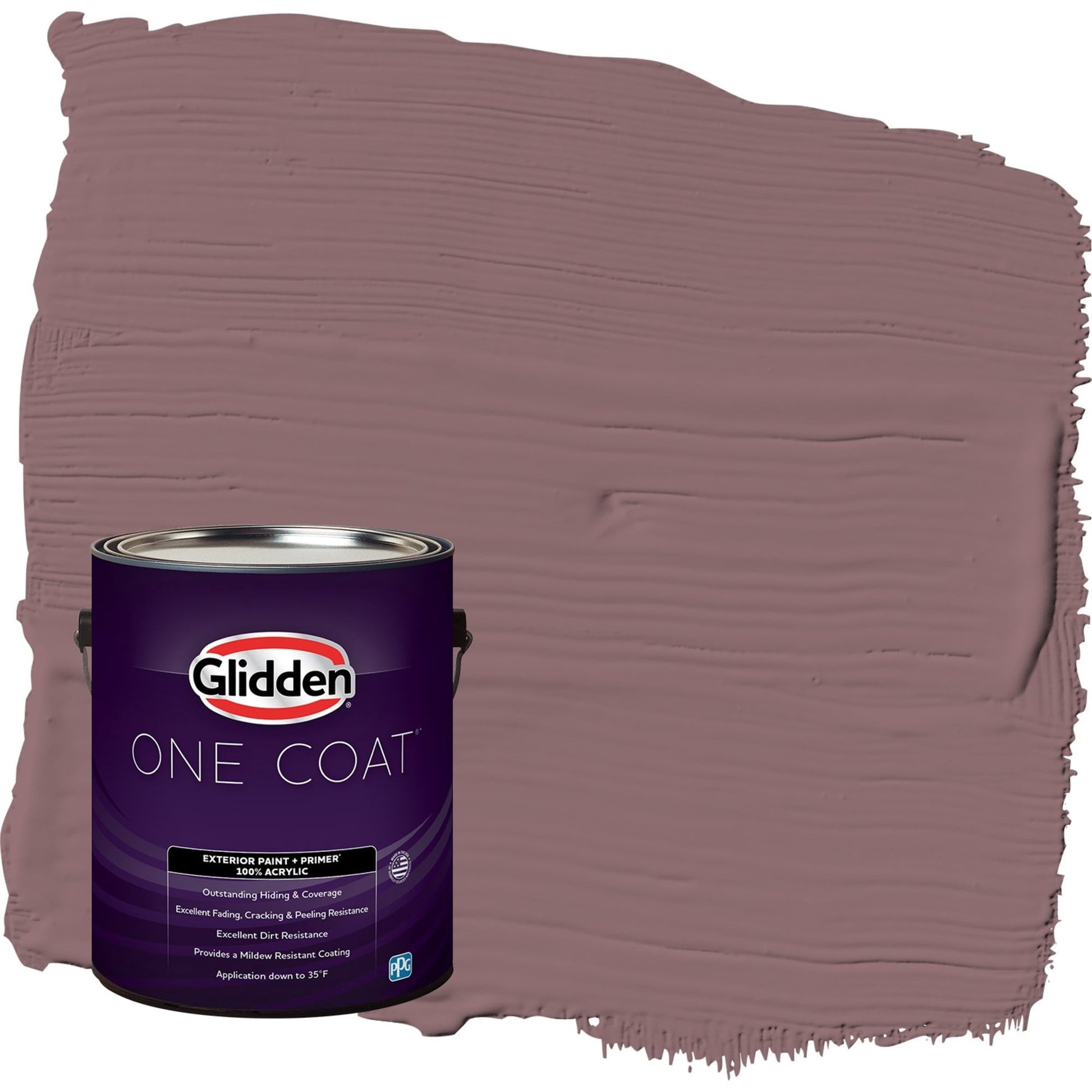 Glidden One Coat Chocolate Sparkle / Purple Satin Exterior Paint with Primer, 1 Gallon