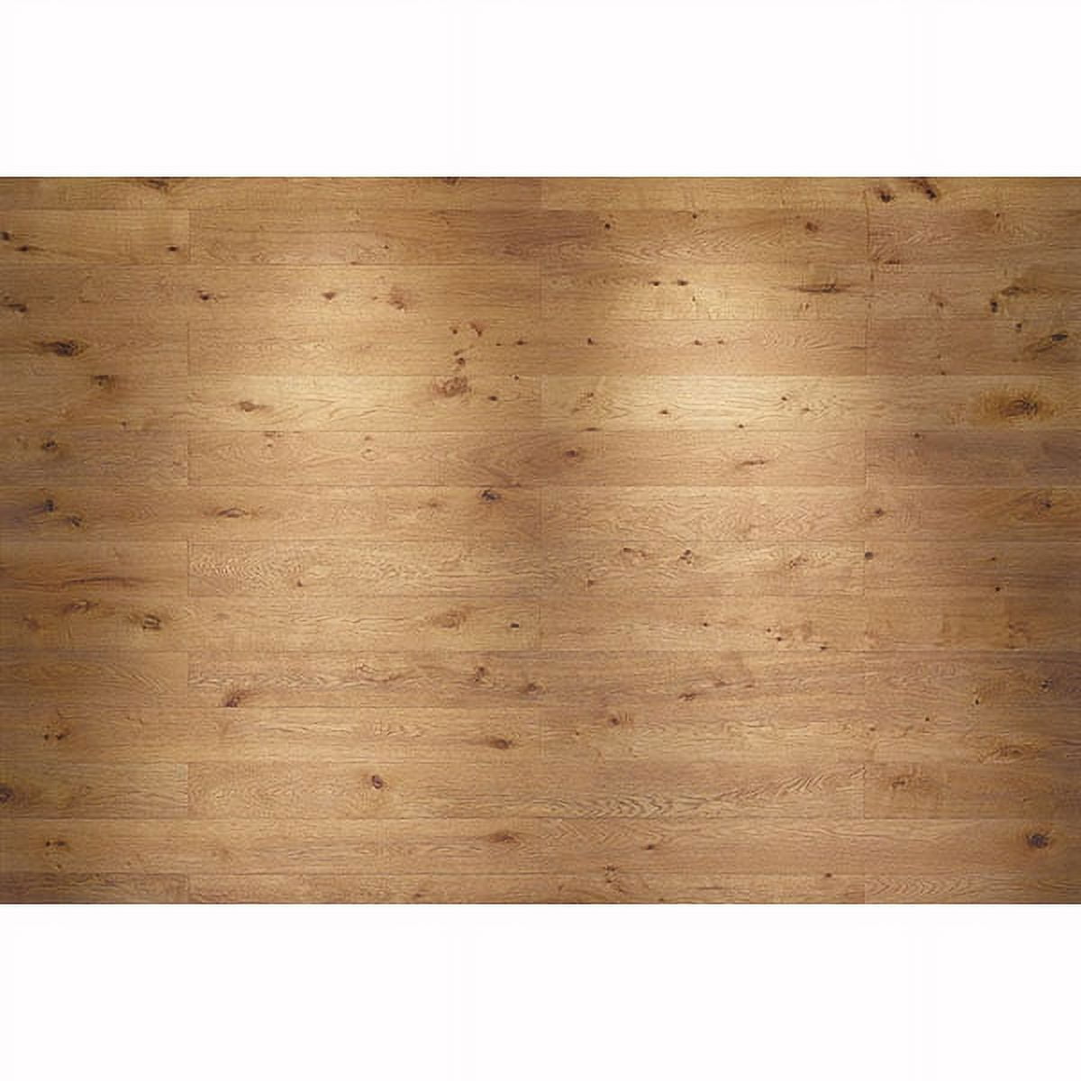 Komar Oak Wall Mural, 145-in by 98-in, 98.68 sq. ft.