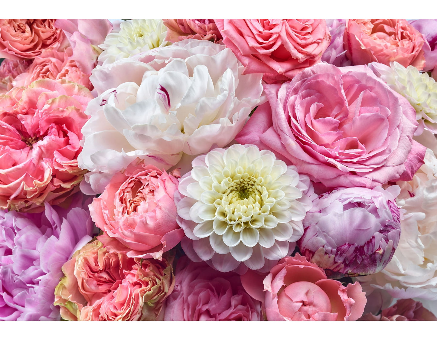 Komar Vibrant Spring Wall Mural