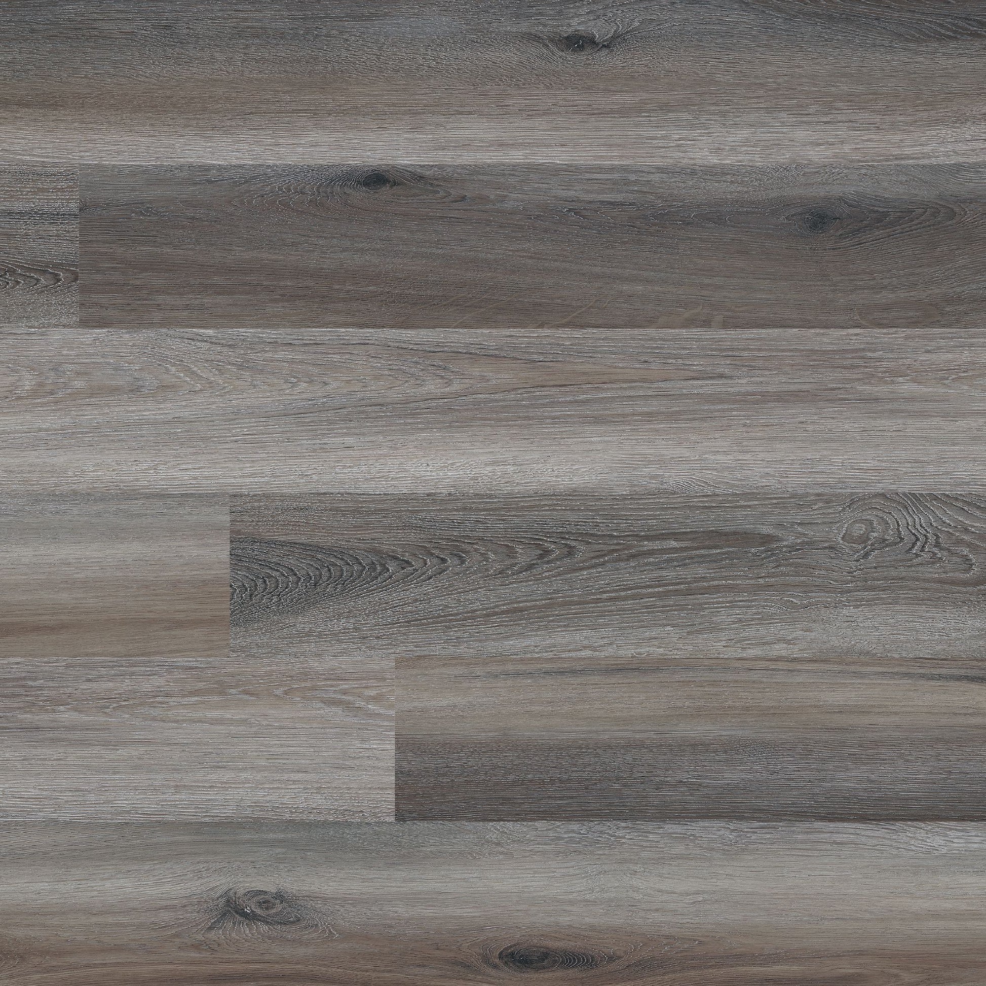 MSI Bayshore Cottonwood 6 in. x 48 in. Glue Down Luxury Vinyl Plank Flooring (36 sq. ft. / case)