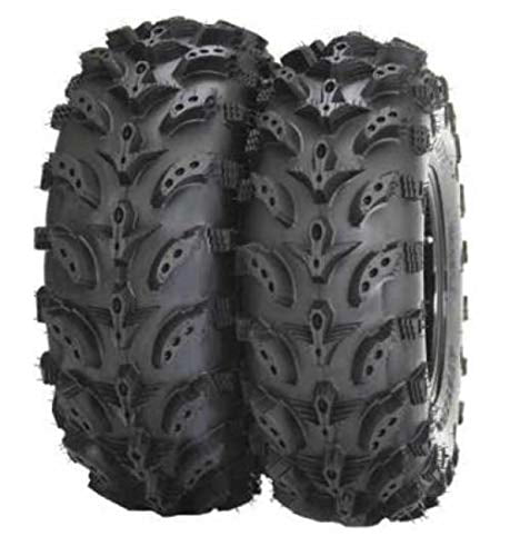 Pair of Interco Swamp Lite 22x8-10 (6ply) ATV Tires (2)