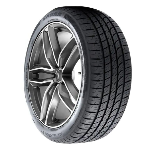 Radar All Season EV All Season 255/40R20 101W XL Electric Vehicle Tire