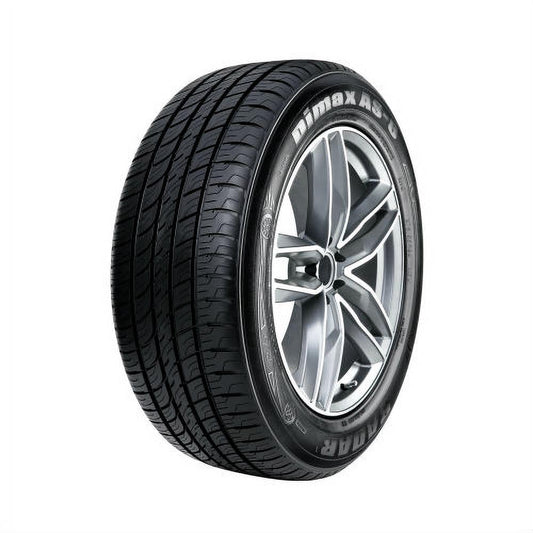 Radar Dimax AS-8 265/30ZR19 93Y Passenger Tire Fits: 2023 Honda Civic Type R, 2022-23 Audi RS3 Base