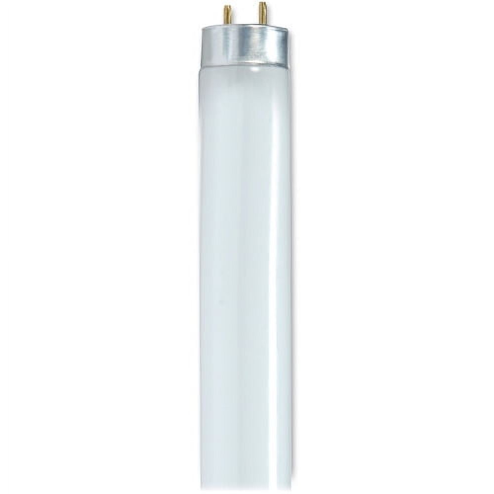 SatcoÂ® 48" T8 Fluorescent Bulbs, 32 Watt, Carton Of 6