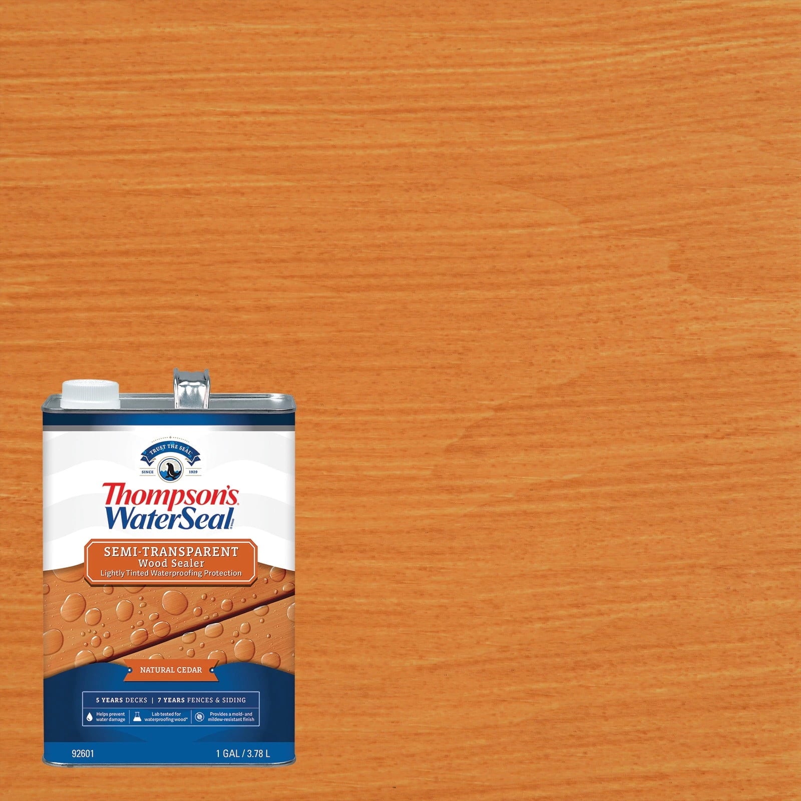 Thompson's WaterSeal Semi-Transparent Wood Sealer, Natural Cedar, 1 Gallon