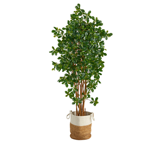 6' Black Olive in Natural Jute & Ctn Planter by Nearly Natural