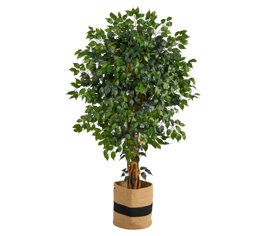 5.5' Palace Ficus Cotton Planter by Nearly Natural