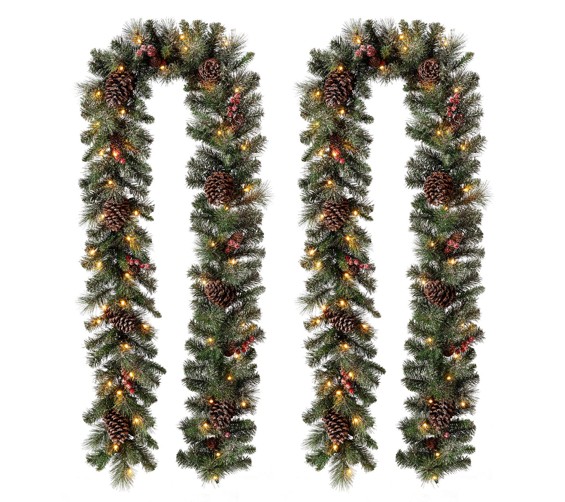 Glitzhome 9' Glittered Pine Cone LED Lighted Ga rland, Set of