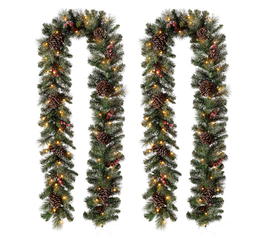 Glitzhome 9' Glittered Pine Cone LED Lighted Ga rland, Set of