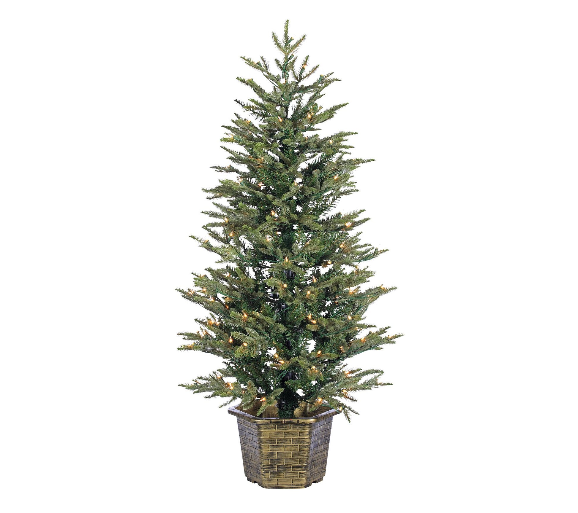 4.5' Potted Nat Cut Eastern Pine w/ 150 Lightsy Sterling Co