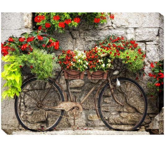 West of the Wind Outdoor Canvas Art Rusty Bicyclette 40" x 30