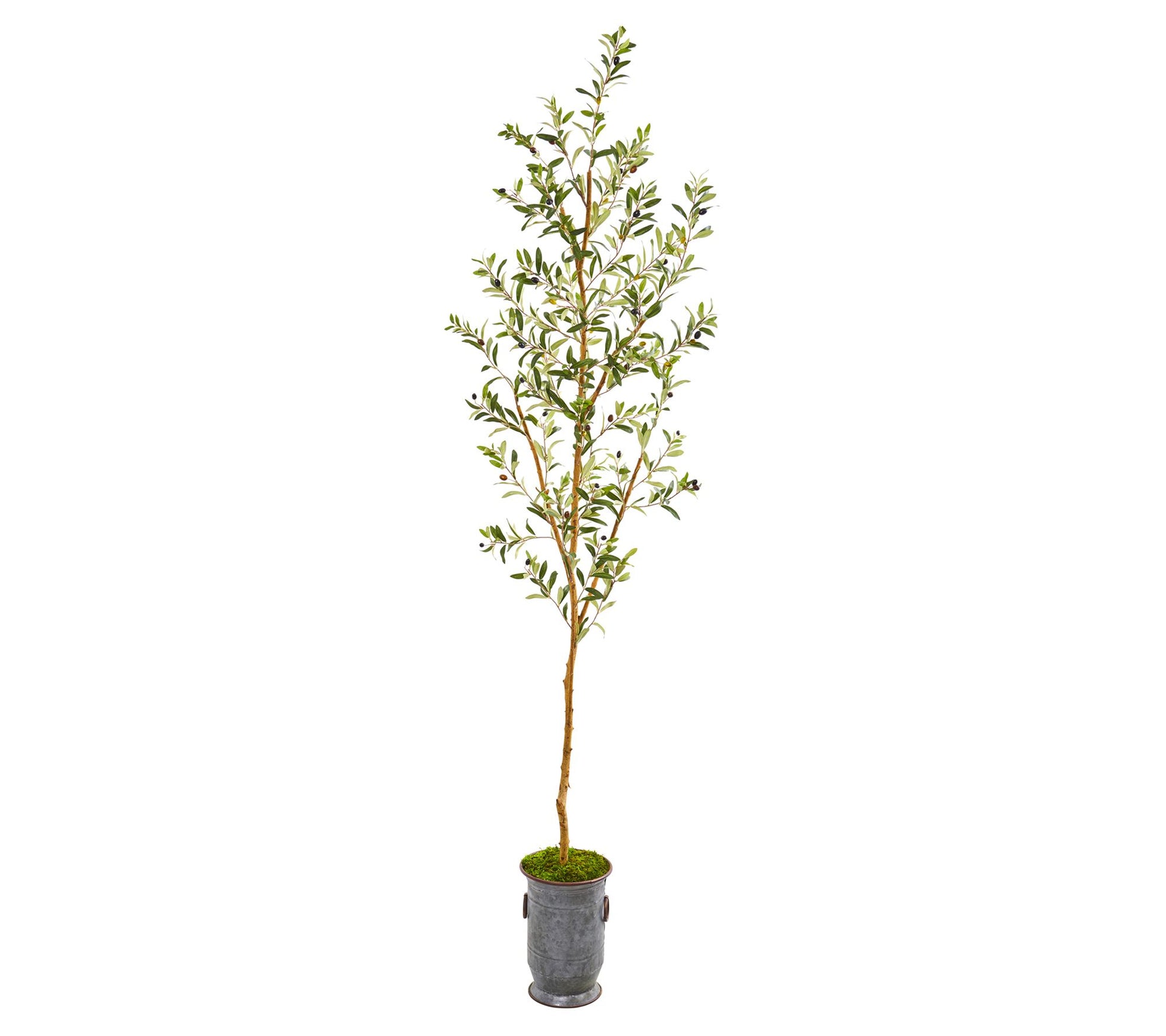 Nearly Natural 7.5' Olive Tree in Decorative Planter