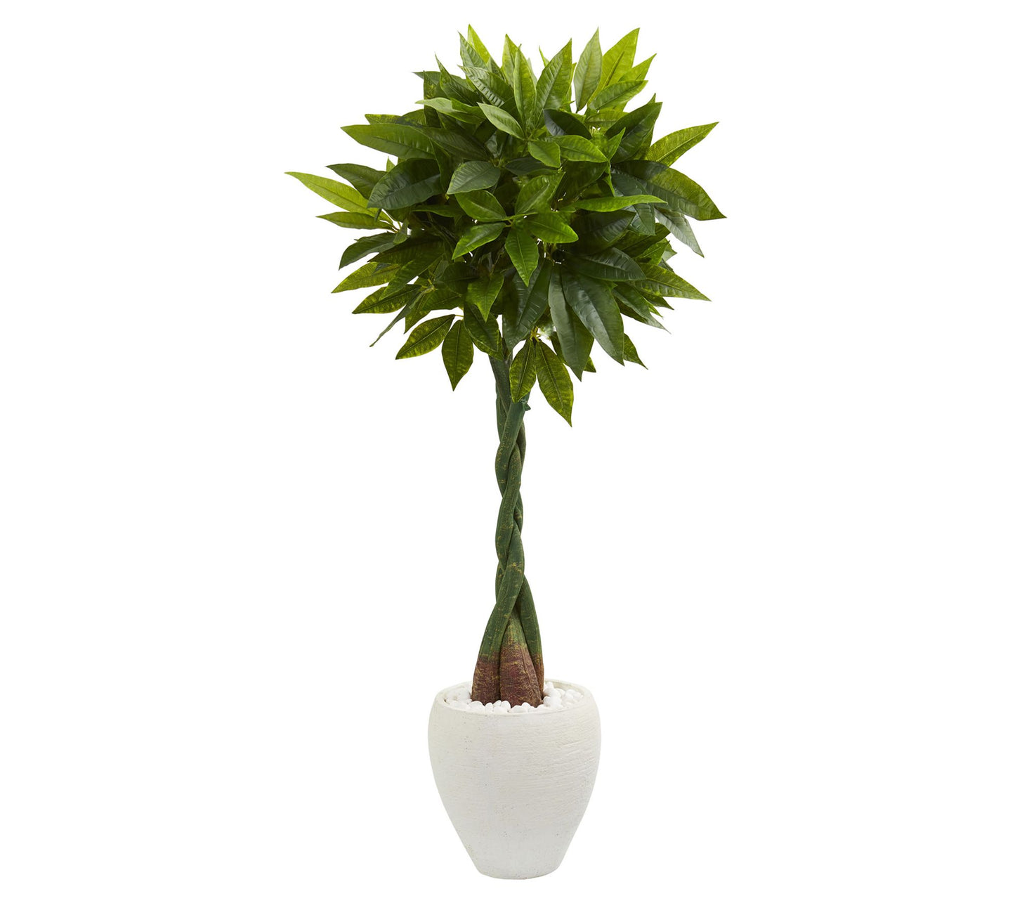 Nearly Natural 5' Money Artificial Tree in Oval Planter